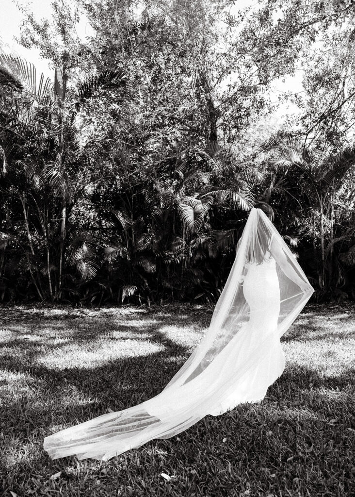 black and white photo of bride walking with long veil